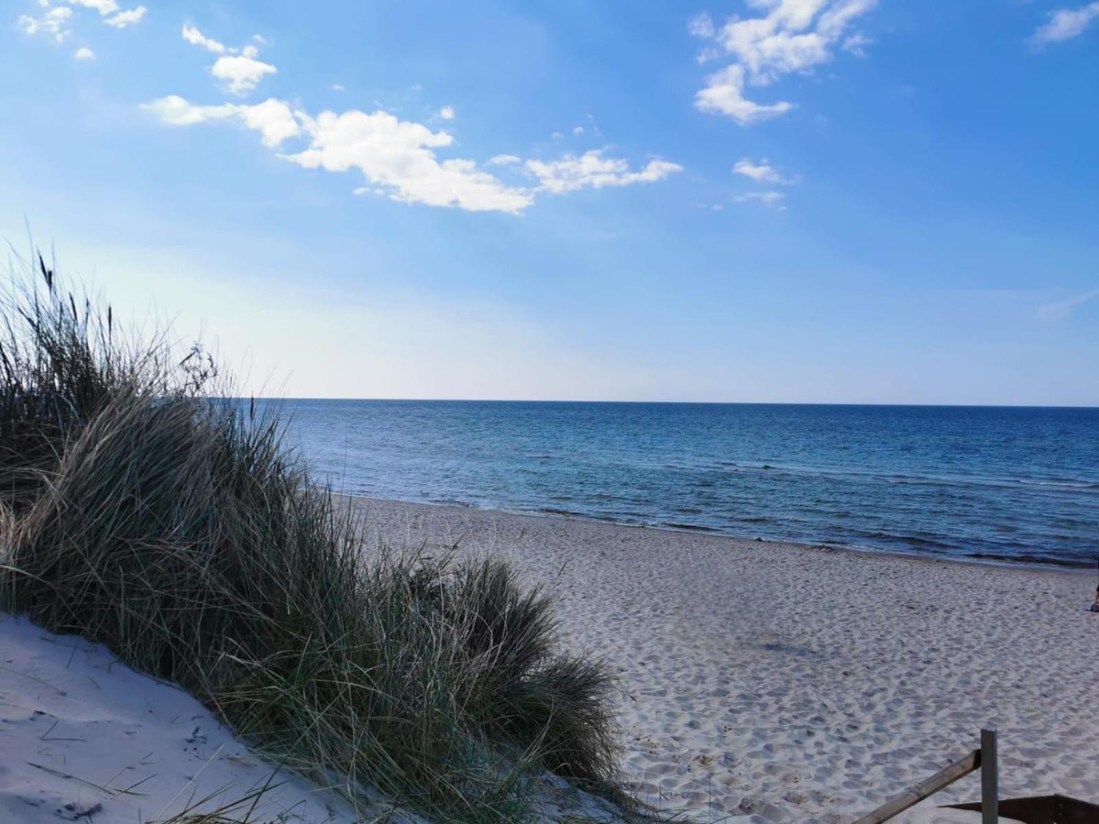 Seaside Forest - Apartment Polanki Kołobrzeg Zewnętrze zdjęcie